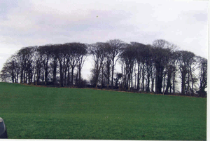 Ballykilleen